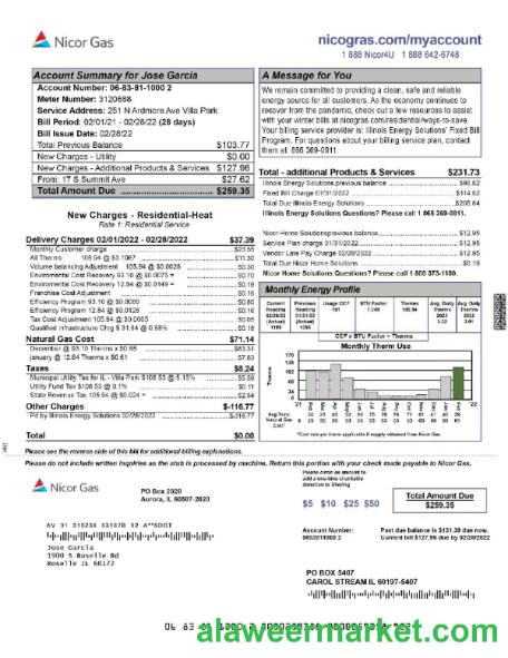 USA NICOR GAS utility bill Word and PDF template